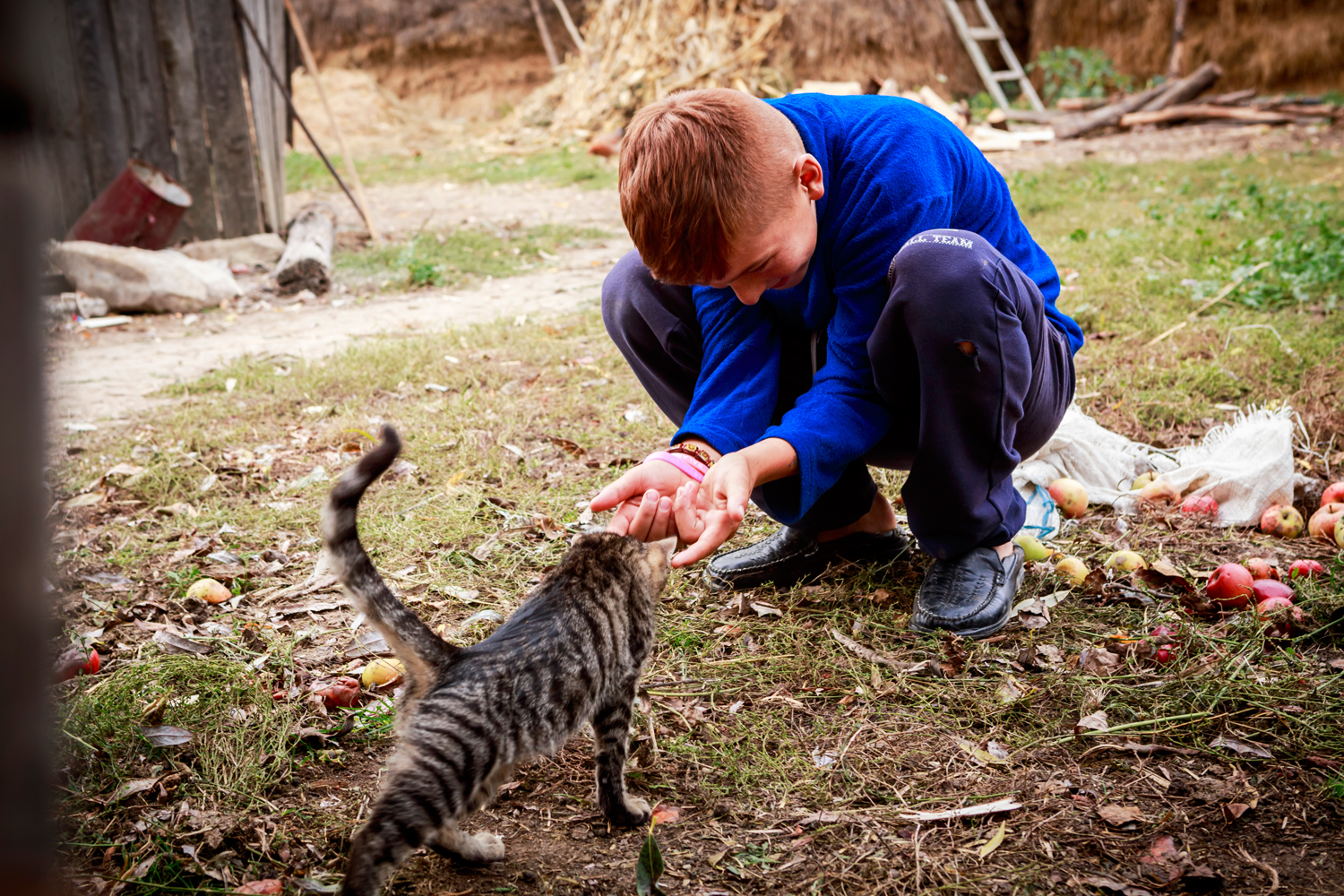 20161006 Principesa Margareta 552